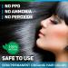 Buy Certified Organic Dark Brown Hair Color - Chemical & Allergy Free No Ammonia 100gm Pack of 2 for Men & Women - Vegetal Safe Bio Natural Hair Dye - Buy Online on GoSupps.com
