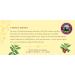 Celestial Seasonings Morning Thunder Tea 20 ct - Buy Online on GoSupps.com