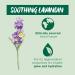 Garnier Organic Lavender 15 ml | Soothing Skincare | International Shipping Available - Buy Online on GoSupps.com