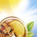 Lipton Diet Iced Tea Sugar Free - Lemon - 5.9 Oz - Buy Online on GoSupps.com