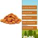 Buy Nut Fox Rice Crackers 500g - Spicy Chilli Flavor Crispy Asian Snack Fried with Soy Sauce - Delicious Rice Biscuits for Any Time - Buy Online on GoSupps.com