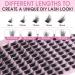 180PCS Wispy 3D Cluster Lashes | Fluffy Volume Eyelash Extensions | Faux Mink Individual False Eyelashes (8-16mm Mixed - Buy Online on GoSupps.com
