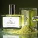 Le Monde Gourmand Th Matcha Eau de Parfum - 1 fl oz (30 ml) - Green Tea Floral Amber Perfume Notes Th Matcha 1 Fl Oz (Pack of 1) - Buy Online on GoSupps.com