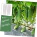VANZACK Garden Fruit Mould 2pcs Vegetable Shaping Vegetables Flower Shaped Cucumber Molds Fruit Molds Modeling - Buy Online on GoSupps.com