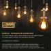 McShine Star Ceiling Lamp 1-Flame E27 with Motion Detector | White Ceiling Light for Hallway Staircase & Basement - Buy Online on GoSupps.com