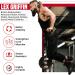 RDX DIP Belt 6 | Professional Weight Lifting Girdle with Chain & Carabiner for Men & Women | Ideal for Pull-Ups Dips & Strength Training | Black - Buy Online on GoSupps.com