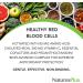 Nature's Plus Hema-Plex 30 Tablets - Sustained Release Iron Supplement for Enhanced Energy & Vitality - Buy Online on GoSupps.com