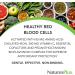NaturesPlus Hema-Plex Iron 60 Mini-Tabs - 85mg Elemental Iron + Vitamin C for Healthy Red Blood Cells - Vegan & Gluten Free - Buy Online on GoSupps.com