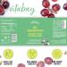 VITABAY OPC Grape Seed Extract 1000mg - High-Dose Time-Release Capsules - 120 Count for Optimal Antioxidant Support - Buy Online on GoSupps.com