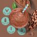 1kg Vegan Chocolate Protein Shake - 21g Protein Per Serving - Multi-Source Pea Protein Powder - UK Made - 33 Servings - Buy Online on GoSupps.com