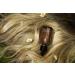 True Botanicals Shine + Protect Hair Cream Oil - Clean & Non-Toxic Haircare (1.7 fl oz | 50 ml) - Buy Online on GoSupps.com