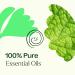 Plant Therapy Gut Aid Essential Oil Blend 10 mL - 100% Pure Natural Aromatherapy for Upset Stomach Relief - International Shipping Available - Buy Online on GoSupps.com
