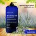 Majestic Pure Rosemary Hair Loss Shampoo - 16 fl oz | Promotes Hair Growth and Strength - Buy Online on GoSupps.com