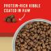 Stella & Chewy's Wild Red Dog Food 3.5 lb Bag - High Protein Raw Coated Red Meat Recipe with Wholesome Grains - Buy Online on GoSupps.com
