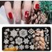 Sanwood Nail Stamping Plate - Clear Engraved Xmas Patterns | Stainless Steel Nail Art Template Tool Kit for Manicure - Style 5 - Buy Online on GoSupps.com