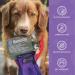 Handson Pet Grooming Gloves - Award-Winning Deshedding Mitts for Cats, Dogs & Horses - #1 Pet Hair Remover (1 Pair) - Buy Online on GoSupps.com