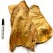 Cow Ears for Dogs - All Natural - Single Ingredient - 20 Peanut Butter Flavour - All Natural Whole Cow Ears - Dog Chew Treat - Rawhide Alternative - Highly Digestible Dog Chew - Larger Then Pig Ears PEANUT BUTTER (20 PACK) - Buy Online on GoSupps.com