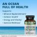 NutraMedix Deep Ocean Trace Minerals - Mineral & Energy Supplements - 60 Capsules - Buy Online on GoSupps.com