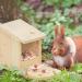 Relaxdays Squirrel Feeder for Placing Wood Weather-Resistant HxWxD: ca 17.5 x 12 x 25 cm Natural - Buy Online on GoSupps.com