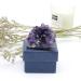 Amethyst Crystal Cluster 50g 6x6x4cm - Raw Healing Geode Crystals - Purple Amethyst Stone for Protection - Unique Amethyst Gifts - Buy Online on GoSupps.com