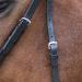 WALDHAUSEN Star Bridle Bitless Black for Warmbloods - Premium Quality Equestrian Gear International Shipping Available - Buy Online on GoSupps.com