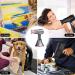 Travel Blow Dryer Cordless Rechargeable Battery Powered Portable Lightweight Hairdryer 3 Speed Hot Wind/Cold Wind Hair Dryer Gifts for Women - Buy Online on GoSupps.com
