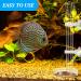 3-Piece Shrimp Feeding Set: Glass Shrimp Feeding Tube, Feeder Tube, and 2 Aquarium Feeding Dishes - Fish Tank Supplies - Buy Online on GoSupps.com