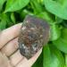 Natural Crystal Rough Natural Brown Crystal Rough Stone Specimen Minerals Fish Tank Stone Home Decor Can be Used for Home Office Decoration (Size : 70-90G) - Buy Online on GoSupps.com
