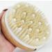 Dry Brushing Body Brush - Exfoliating Skin Scrubber for Cellulite & Lymphatic Drainage - Buy Online on GoSupps.com