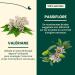 Adrien Gagnon - Relaxen Night Sleep Aid with Valerian Root Passionflower and Hops Natural Calm Sleep and Relaxation 100 Capsules - Buy Online on GoSupps.com