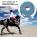 Nylon Horse Rope 8.2ft Nylon Heavy Duty Rope Lead with Alloy Hook for Horse Livestock Pet Blue Grey - Buy Online on GoSupps.com