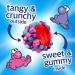 Nerds Gummy Clusters Very Berry Share Pack 85g (3oz) - Pack of 12 - Buy Online on GoSupps.com