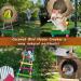 Natural Wood Coconut Bird House with Ladder & Swing Set - Bird Cage Accessories for Parakeets, Cockatiels, and Small Parrots - Buy Online on GoSupps.com