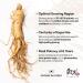 Dongjieum Korean Red Ginseng (6-Year Root) (Enhanced Ginsenoside) 120 Vegan Capsules - Buy Online on GoSupps.com