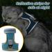 Dotoner Cat Harness and Leash Set - Escape Proof Adjustable Harness for Large and Small Cats - Lightweight and Soft - Ideal for Walking and Travel - Petsafe - Dark Blue - Buy Online on GoSupps.com