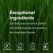 Vibrant Health, Immune Defense, Natural Immune and Digestive Support, 60 Capsules 120 count (Pack of 1) - Buy Online on GoSupps.com