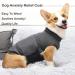 Comfortable Anxiety Relief Vests for Dogs & Cats - International Shipping Available - Buy Online on GoSupps.com