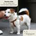Dogissimi Handmade Leather Dog Harness for Small & Medium Dogs - Adjustable Ergonomic Italian Craftsmanship (Size L Chest 52-69 cm) - Buy Online on GoSupps.com