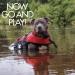 EzyDog Premium DFD - Adjustable Dog Life Jacket with Reflective Trim - Red Large - Buy Online on GoSupps.com