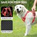Shop Heele Dog Crockery & Reflective Padded Harness for Medium Dogs - Adjustable Flower Red XL - Buy Online on GoSupps.com
