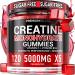 Premium Select Nutrition Creatine Gummies 5000mg for Strength & Muscle Tasty Gains in Every 5g Chew ugar Free for Men & Women Monohydrate Pre-Workout & Recovery Supplement 120 Gummies - Strawberry