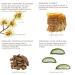 Organic Skin & Hair Care Cleansing Foam with Honey Propolis & Witch Hazel | Made in France - All Skin Types - Buy Online on GoSupps.com