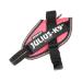 Julius-K9 IDC Powair Dog Harness Size: XS / Mini-Mini Pink Pink XS/Mini-Mini