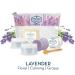 Naples Soap Company Cult Classics Collection Gift Set | Eco-Friendly Natural Soap Body Butter Sea Salt Scrub Shampoo & Conditioner Bars | Lavender | Cruelty-Free No Parabens or Silicones - Buy Online on GoSupps.com