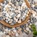 VGOODALL 900g Mixed Colour Gravel Pebbles - 2LB Natural Decorative Pebbles for Succulents, Vases, Aquariums & Outdoor Decor - Buy Online on GoSupps.com