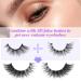 Newcally Natural Cat Eye Half False Eyelashes - 5 Pairs B05 - Buy Online on GoSupps.com