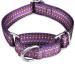 Dazzber martingale dog collar for puppies no pulling anti-escape collar for small dogs adjustable 25.4 cm to 38.1 cm dark purple Small 5/8 inch wide purple