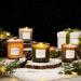 La Jolie Muse Damascen Rose Fragrance Candle - 75 Hours of Aromatic Bliss Natural Wax & Floral Aroma - Perfect Gift for Women - 285g Rose Noir & Oud - Buy Online on GoSupps.com