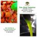 Frantoi Cutrera Semi-Dried Cherry Tomatoes in Extra Virgin Olive Oil - 6.7oz - Product of Italy - Buy Online on GoSupps.com