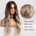 Shop Haircube Ombre Blonde Wigs for Women | 26 Heat-Resistant Synthetic Wigs with Dark Root | Perfect for Everyday Parties & Cosplay - Buy Online on GoSupps.com